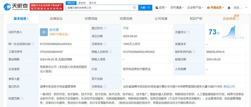 美團在淄博成立科技新公司，聚焦網絡與信息安全軟件開發